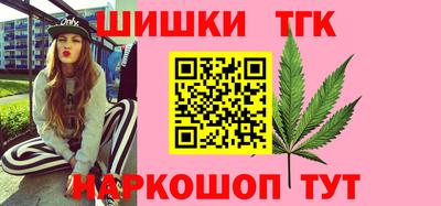 МДПВ Лесосибирск