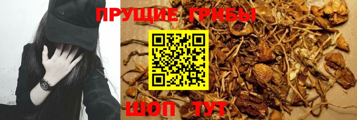 Галлюциногенные грибы Magic Shrooms  продажа наркотиков  Ульяновск  Вход с VPN 