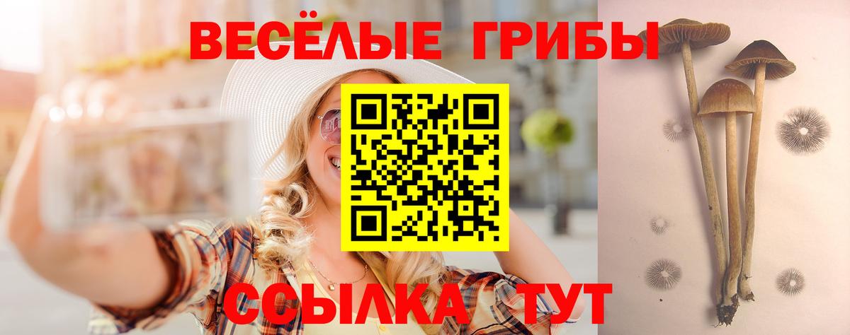 Галлюциногенные грибы Psilocybine cubensis Ульяновск
